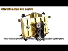 Pudełko wibracyjne dla Lectry